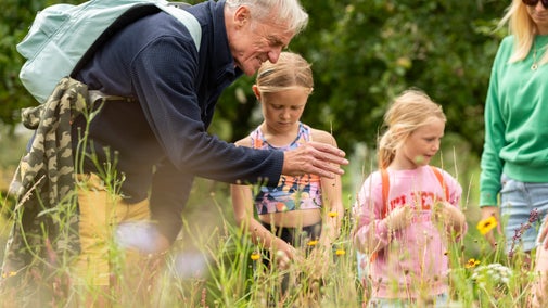 A family exploring summer meadows along the Explorer trail at Gibside